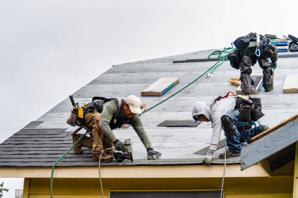 Professional Gutter Installation technician working in Armada, MI